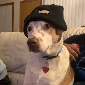 Meet your Posher, Colton